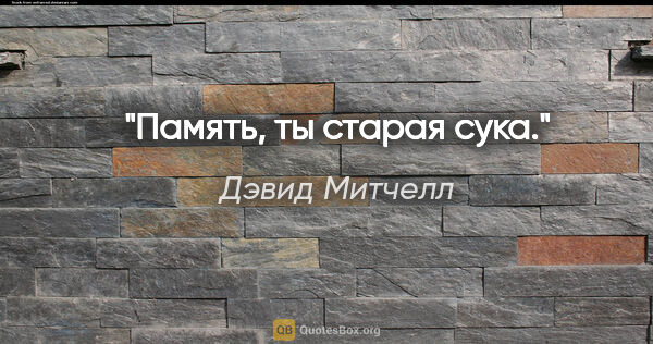 Дэвид Митчелл цитата: "Память, ты старая сука."