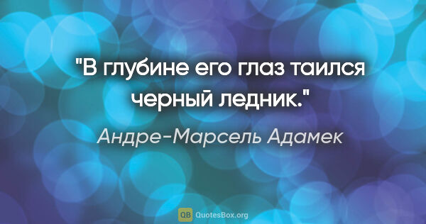 Андре-Марсель Адамек цитата: "В глубине его глаз таился черный ледник."