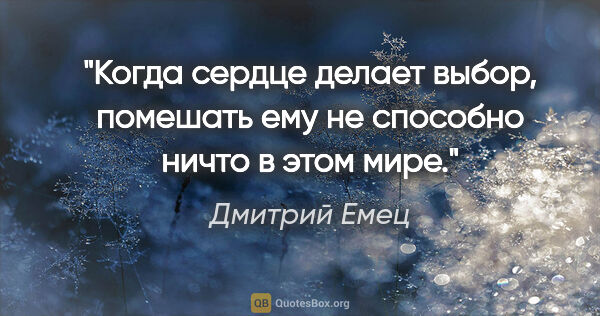 Дмитрий Емец цитата: "Когда сердце делает выбор, помешать ему не способно ничто в..."