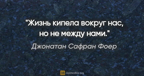 Джонатан Сафран Фоер цитата: "Жизнь кипела вокруг нас, но не между нами."