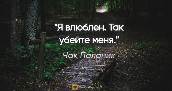 Чак Паланик цитата: "«Я влюблен. Так убейте меня.»"