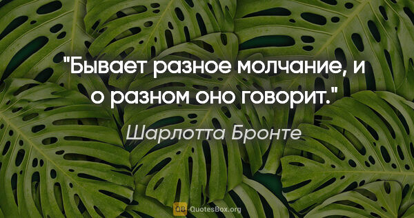 Шарлотта Бронте цитата: ""Бывает разное молчание, и о разном оно говорит.""