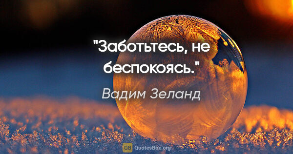 Вадим Зеланд цитата: "Заботьтесь, не беспокоясь."