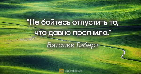 Виталий Гиберт цитата: "Не бойтесь отпустить то, что давно прогнило."