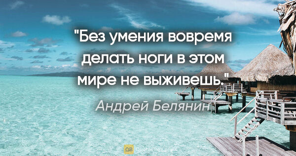 Андрей Белянин цитата: "Без умения вовремя делать ноги в этом мире не выживешь."