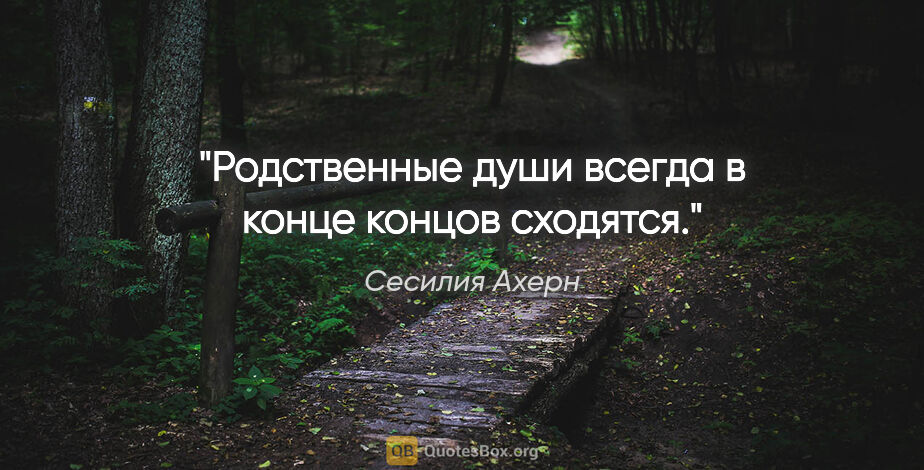 Сесилия Ахерн цитата: "Родственные души всегда в конце концов сходятся."