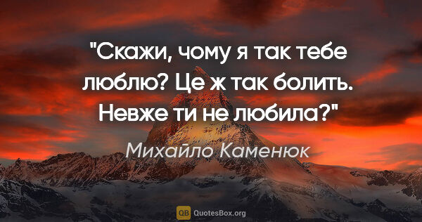 Михайло Каменюк цитата: "Скажи, чому я так тебе люблю?

Це ж так болить.

Невже ти не..."