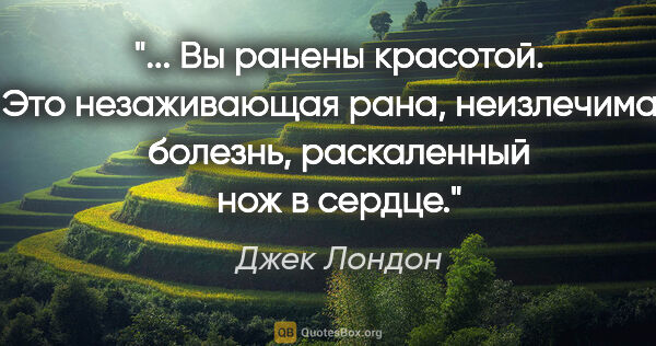 Джек Лондон цитата: " Вы ранены красотой. Это незаживающая рана, неизлечимая..."