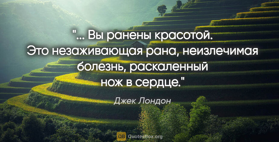 Джек Лондон цитата: " Вы ранены красотой. Это незаживающая рана, неизлечимая..."