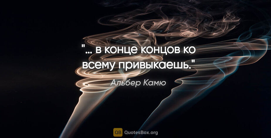 Альбер Камю цитата: "… в конце концов ко всему привыкаешь."