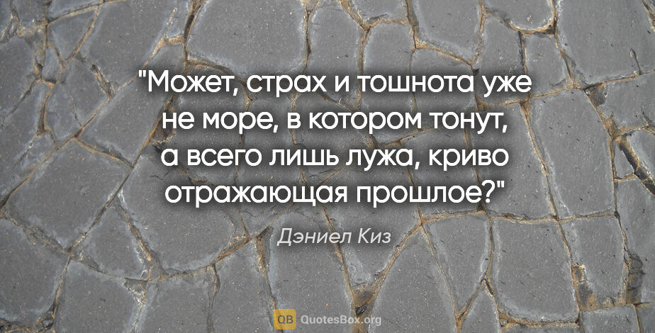 Дэниел Киз цитата: "Может, страх и тошнота уже не море, в котором тонут, а всего..."