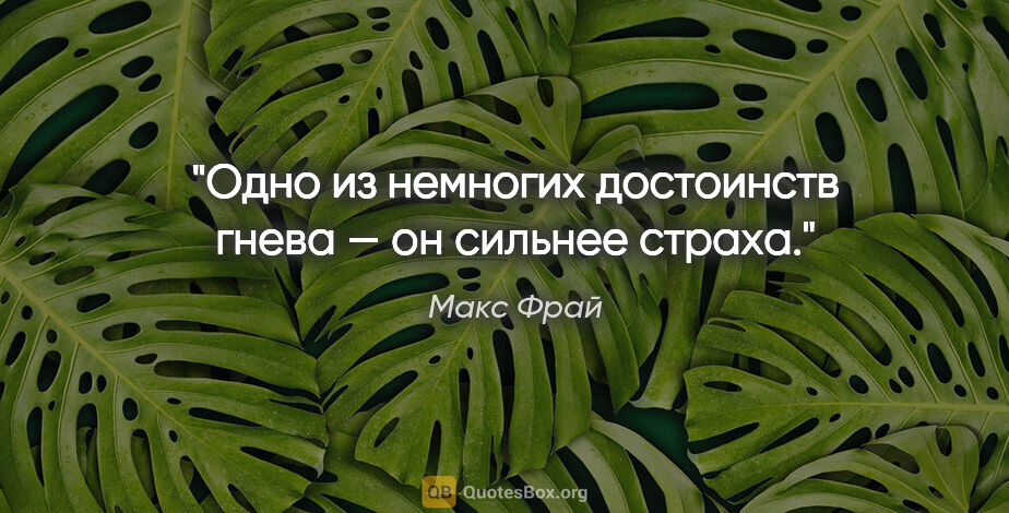 Макс Фрай цитата: "Одно из немногих достоинств гнева — он сильнее страха."