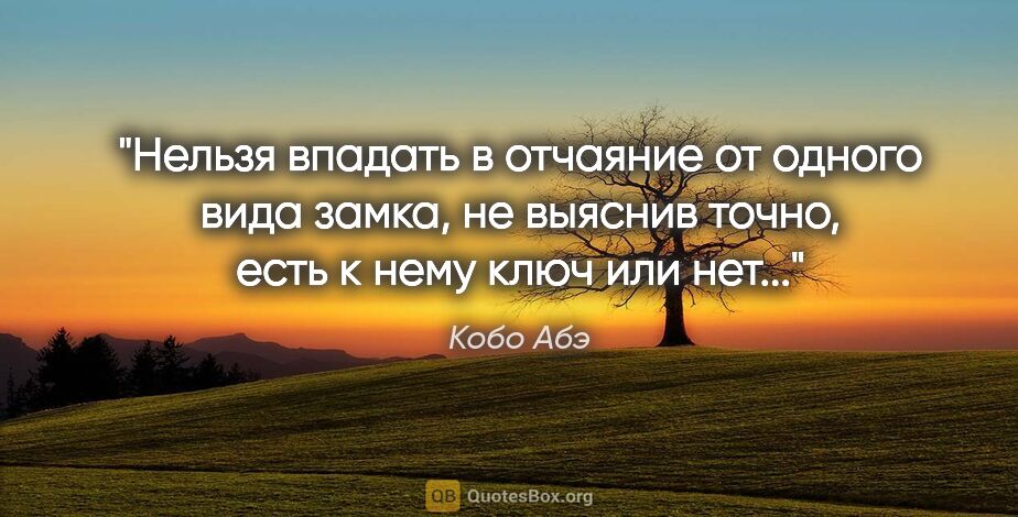 Кобо Абэ цитата: "Нельзя впадать в отчаяние от одного вида замка, не выяснив..."