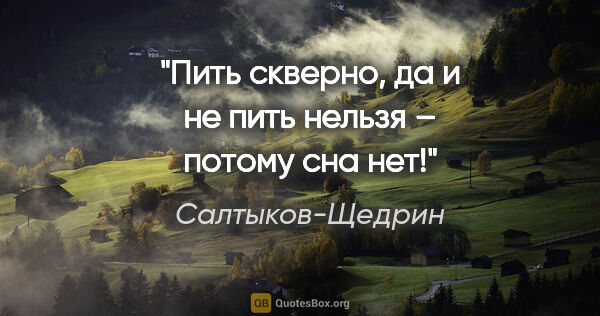 Салтыков-Щедрин цитата: "Пить скверно, да и не пить нельзя – потому сна нет!"