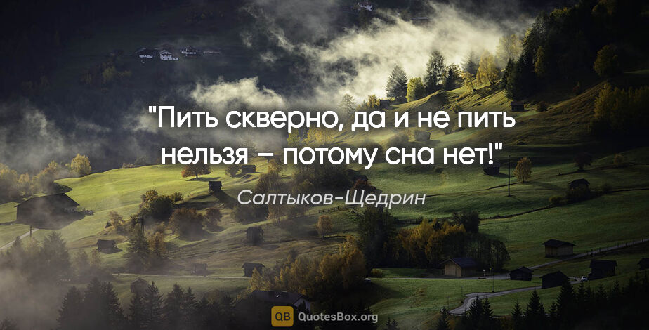 Салтыков-Щедрин цитата: "Пить скверно, да и не пить нельзя – потому сна нет!"