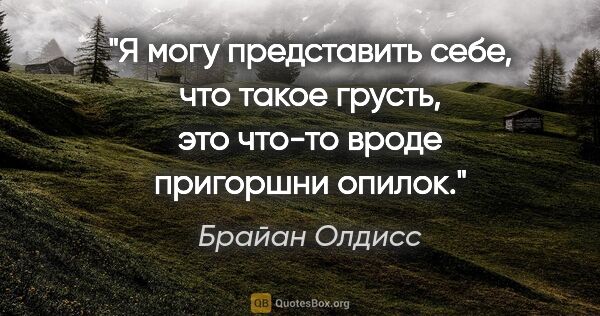 Брайан Олдисс цитата: "Я могу представить себе, что такое грусть, это что-то вроде..."