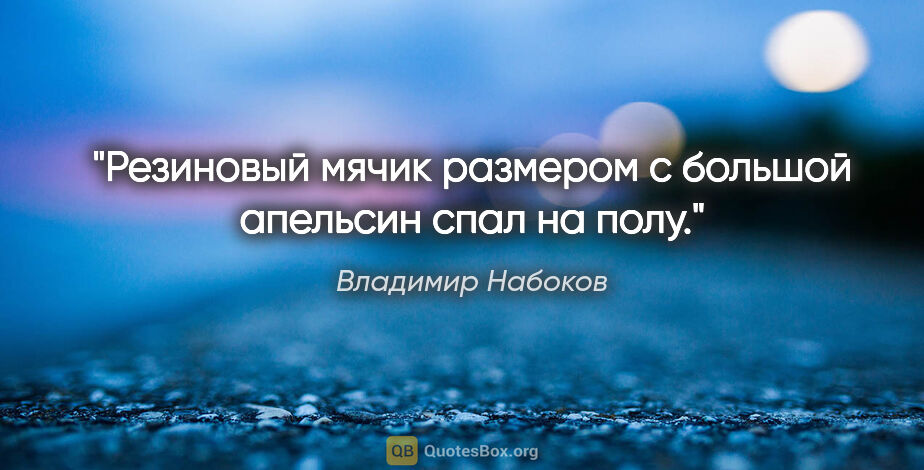 Владимир Набоков цитата: "Резиновый мячик размером с большой апельсин спал на полу."