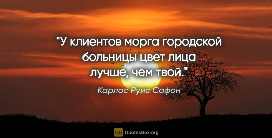 Карлос Руис Сафон цитата: "У клиентов морга городской больницы цвет лица лучше, чем твой."