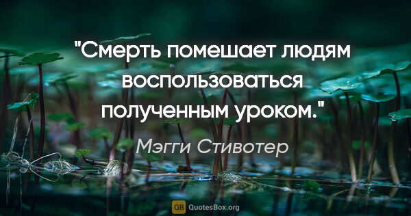 Мэгги Стивотер цитата: "Смерть помешает людям воспользоваться полученным уроком."