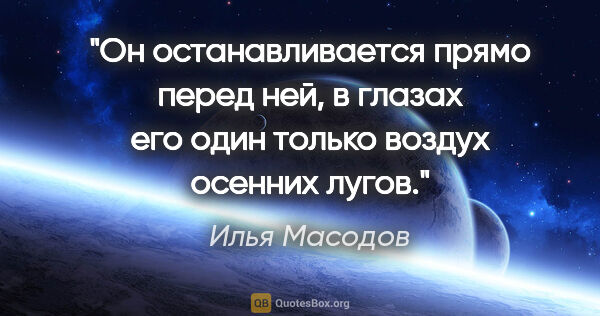 Илья Масодов цитата: "Он останавливается прямо перед ней, в глазах его один только..."