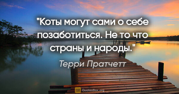 Терри Пратчетт цитата: "Коты могут сами о себе позаботиться. Не то что страны и народы."