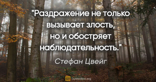 Стефан Цвейг цитата: "Раздражение не только вызывает злость, но и обостряет..."