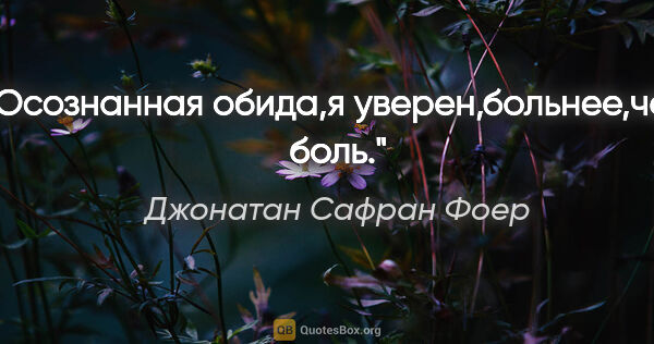 Джонатан Сафран Фоер цитата: "Осознанная обида,я уверен,больнее,чем боль."