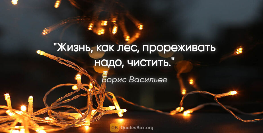 Борис Васильев цитата: "Жизнь, как лес, прореживать надо, чистить."