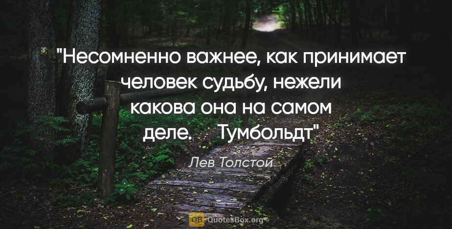 Лев Толстой цитата: "Несомненно важнее, как принимает человек судьбу, не­жели..."