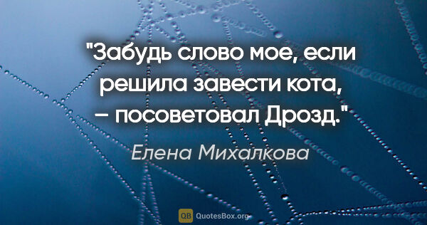 Елена Михалкова цитата: "Забудь слово «мое», если решила завести кота, – посоветовал..."