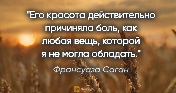 Франсуаза Саган цитата: "Его красота действительно причиняла боль, как любая вещь,..."