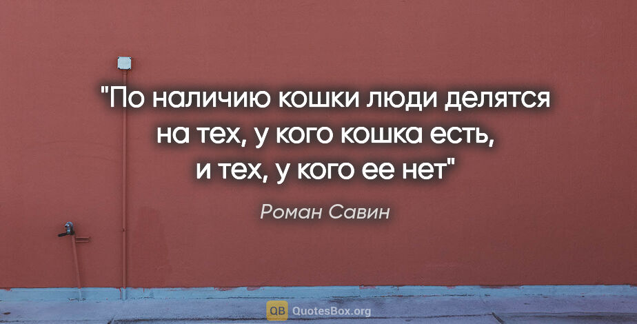 Роман Савин цитата: "По наличию кошки люди делятся на тех, у кого кошка есть, и..."