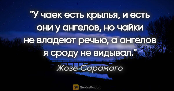 Жозе Сарамаго цитата: "У чаек есть крылья, и есть они у ангелов, но чайки не владеют..."