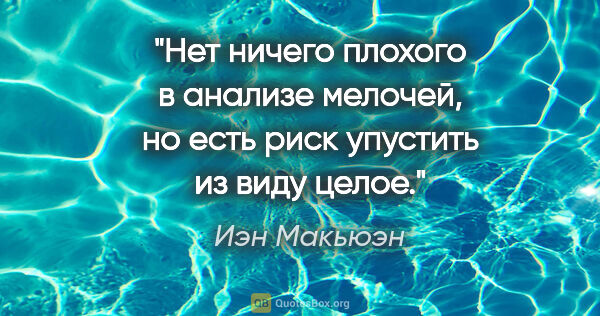 Иэн Макьюэн цитата: "Нет ничего плохого в анализе мелочей, но есть риск упустить из..."