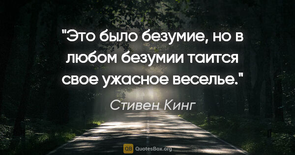 Стивен Кинг цитата: "Это было безумие, но в любом безумии таится свое ужасное веселье."