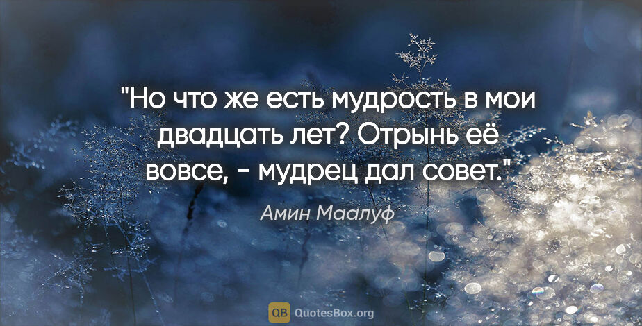 Амин Маалуф цитата: ""Но что же есть мудрость в мои двадцать лет?"

"Отрынь её..."