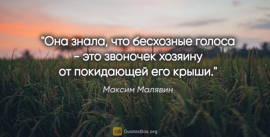 Максим Малявин цитата: "Она знала, что бесхозные голоса - это звоночек хозяину от..."