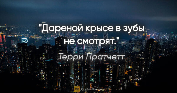 Терри Пратчетт цитата: "Дареной крысе в зубы не смотрят."