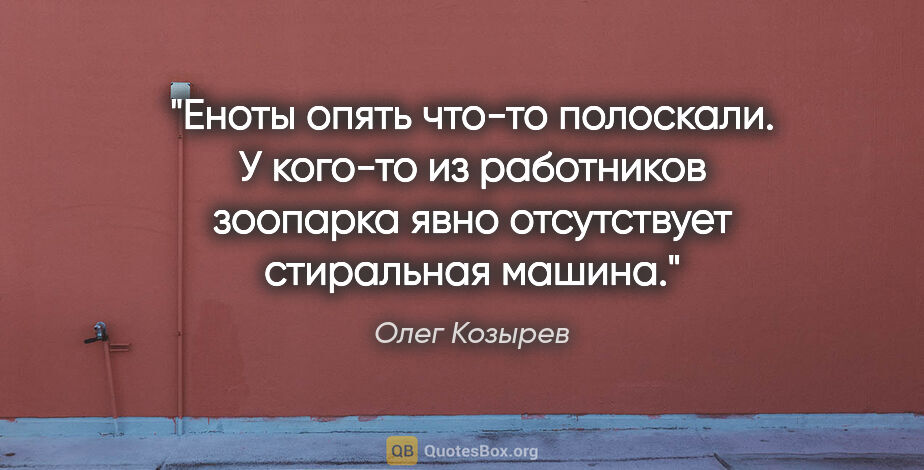 Олег Козырев цитата: "Еноты опять что-то полоскали. У кого-то из работников зоопарка..."