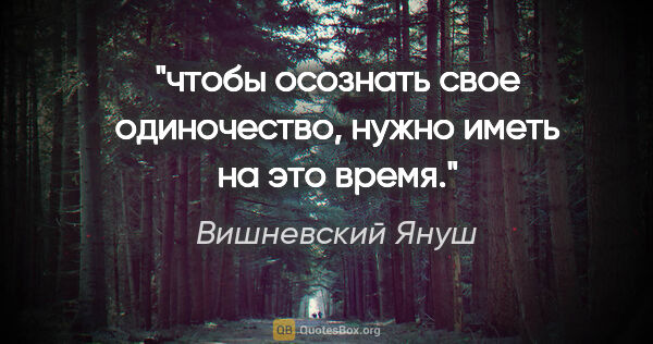 Вишневский Януш цитата: "чтобы осознать свое одиночество, нужно иметь на это время."