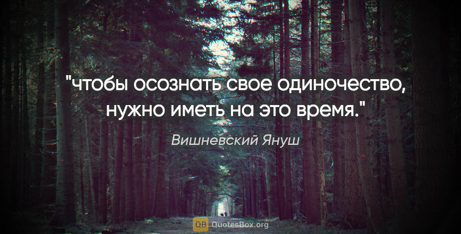 Вишневский Януш цитата: "чтобы осознать свое одиночество, нужно иметь на это время."