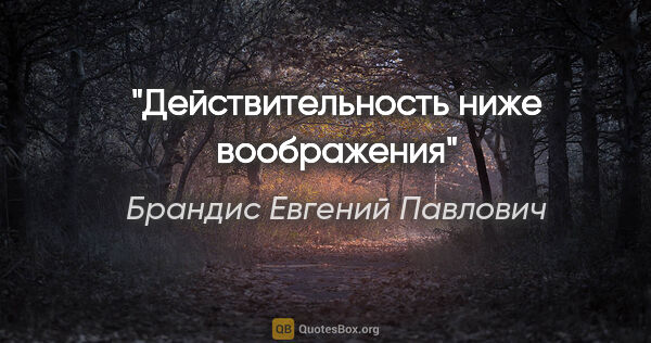 Брандис Евгений Павлович цитата: "Действительность ниже воображения"