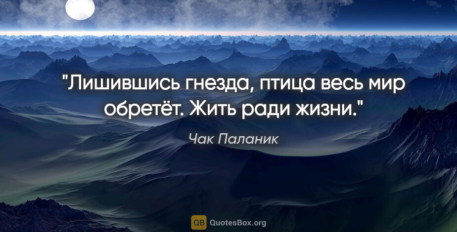 Чак Паланик цитата: "Лишившись гнезда, птица весь мир обретёт. Жить ради жизни."