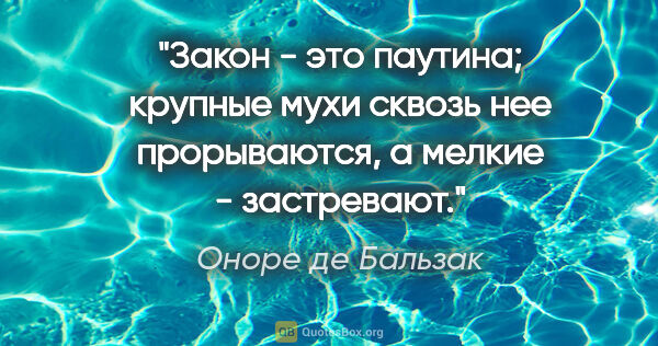 Оноре де Бальзак цитата: ""Закон - это паутина; крупные мухи сквозь нее прорываются, а..."