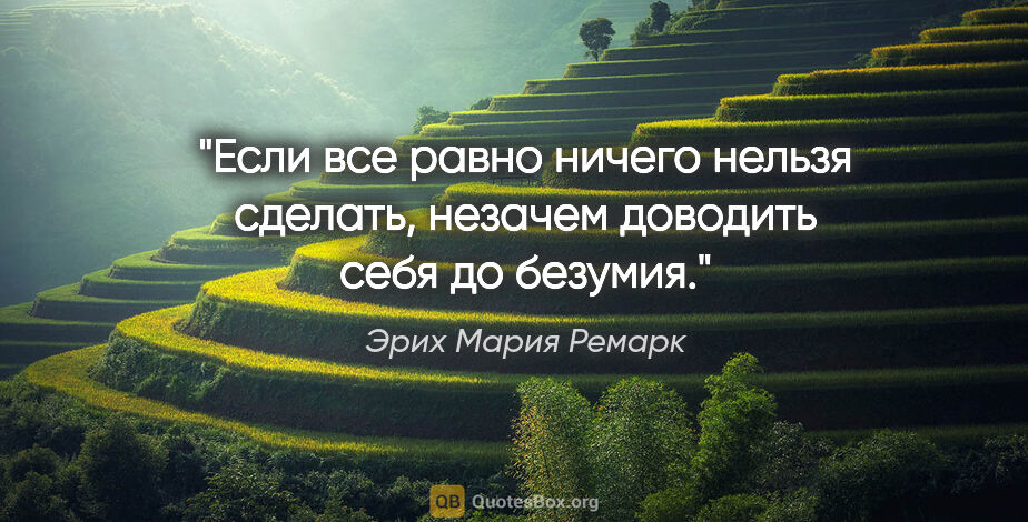 Эрих Мария Ремарк цитата: "Если все равно ничего нельзя сделать, незачем доводить себя до..."