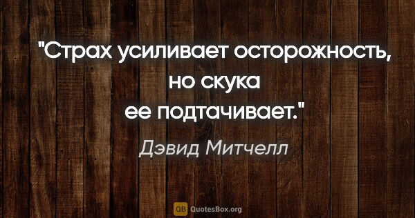 Дэвид Митчелл цитата: "Страх усиливает осторожность, но скука ее подтачивает."