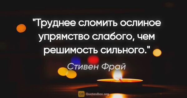 Стивен Фрай цитата: "Труднее сломить ослиное упрямство слабого, чем решимость..."