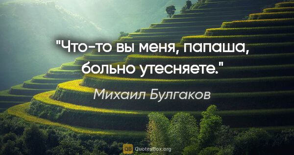 Михаил Булгаков цитата: "Что-то вы меня, папаша, больно утесняете."