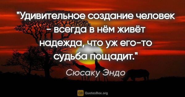 Сюсаку Эндо цитата: "Удивительное создание человек - всегда в нём живёт надежда,..."