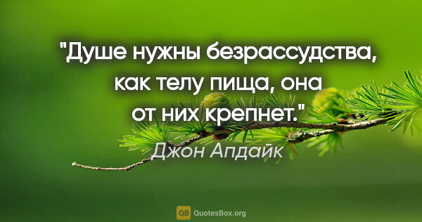 Джон Апдайк цитата: ""Душе нужны безрассудства, как телу пища, она от них крепнет.""